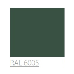 MAXI COLOR RAL 6005 POLYSK