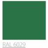 MAXI COLOR RAL 6029 POLYSK