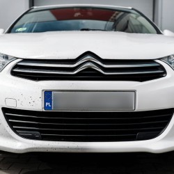 K2 NUTA ANTI-INSECT PRO 1L – Profesjonalny płyn do usuwania owadów z karoserii