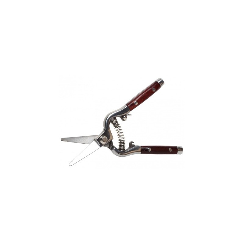 Sekator nożycowy do kwiatów kuty PROLINE X40017